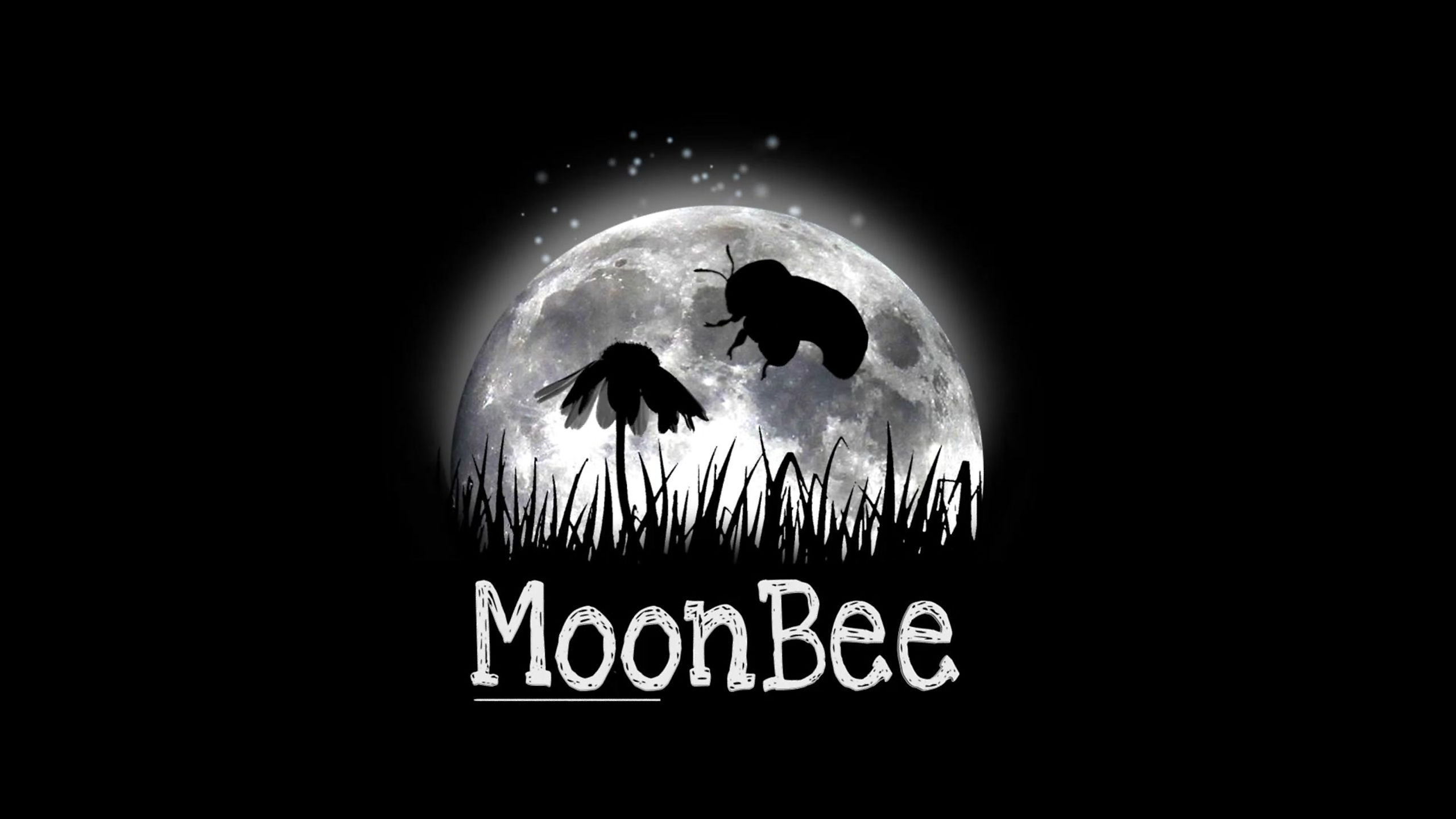 Moonbee anim 3d